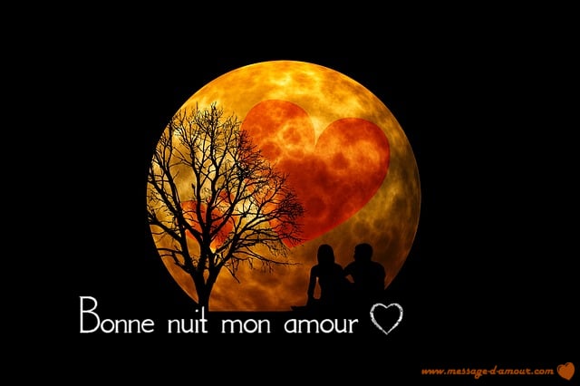 Messages De Bonne Nuit Romantiques Message Damour