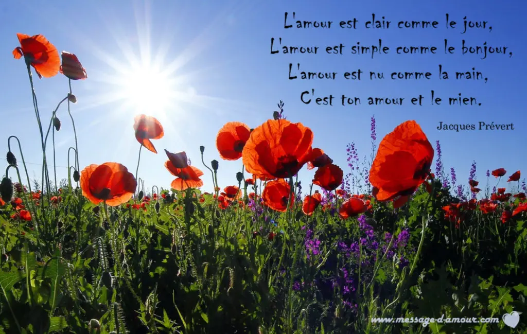 Beaux textes pour dire bonjour à sa chérie 3 Beaux textes pour dire bonjour à sa chérie