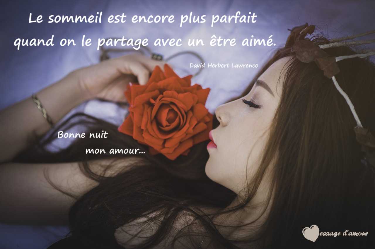 Texte Pour Dire Bonne Nuit A Sa Copine Message D Amour