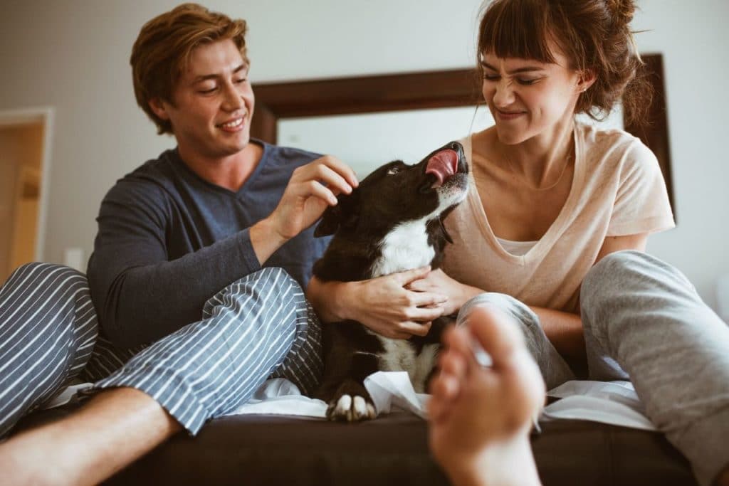8 Façons dont votre relation amoureuse peut changer avec un animal de compagnie 5 Couple et animal de compagnie