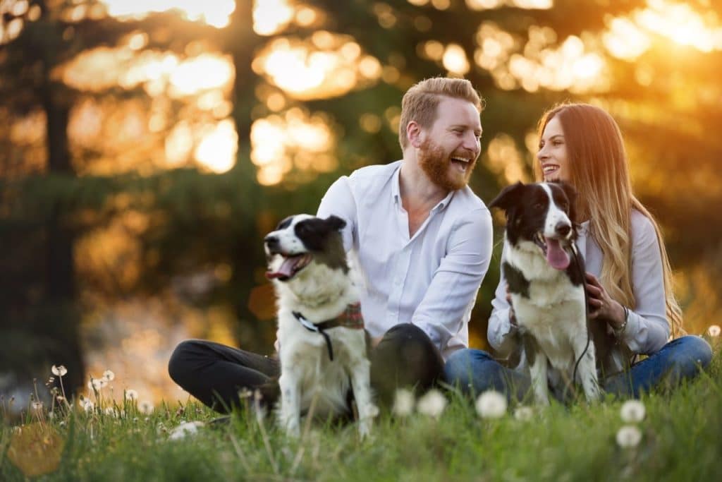 8 Façons dont votre relation amoureuse peut changer avec un animal de compagnie 3 vie de couple avec animal de compagnie
